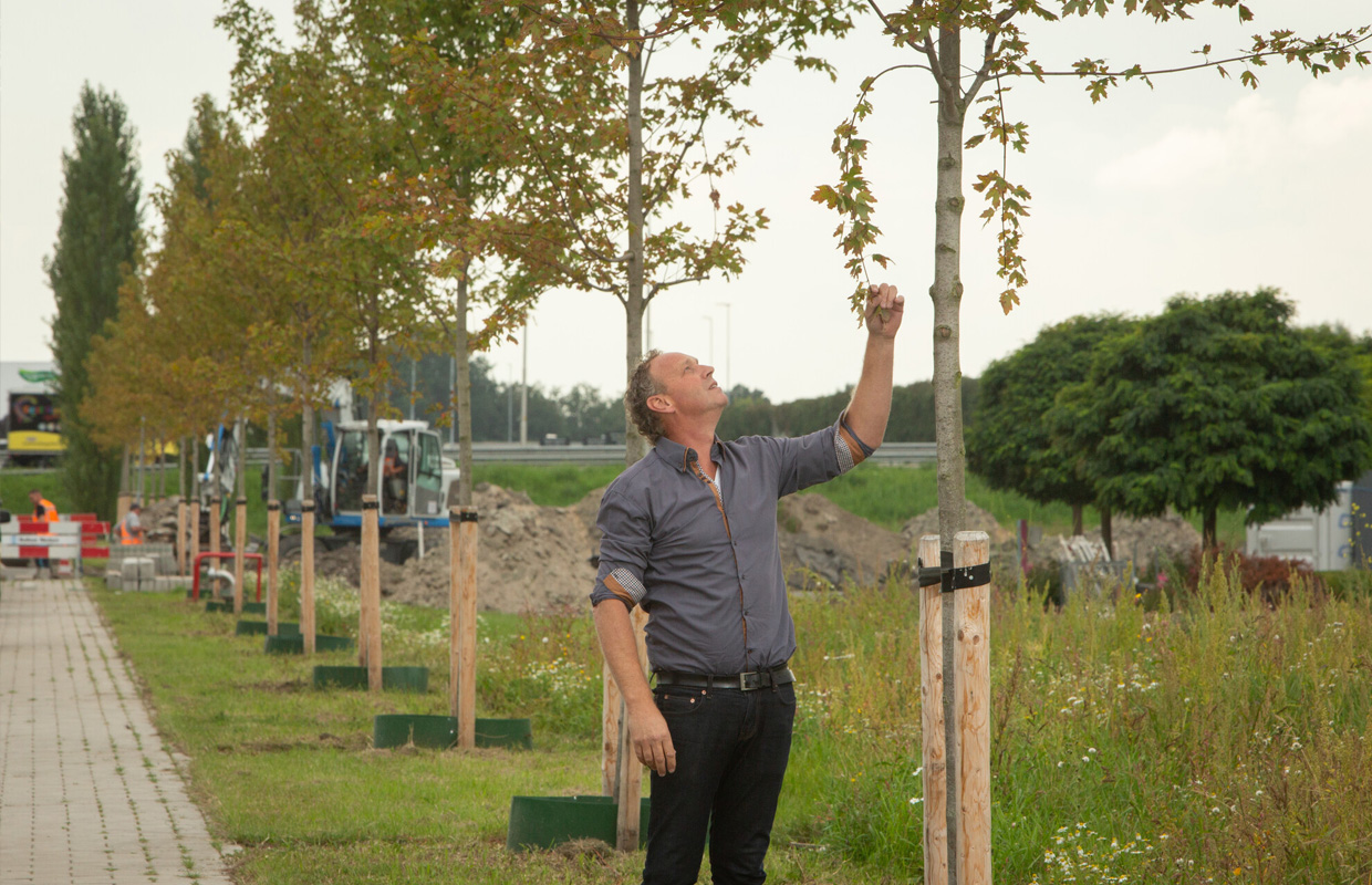 moois overheid circulair bodem groen grond advies