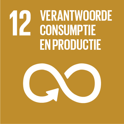 SDG 12 duurzame ontwikkelingsdoelstellingen