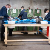 Inzicht in restafval met afval sorteeranalyse